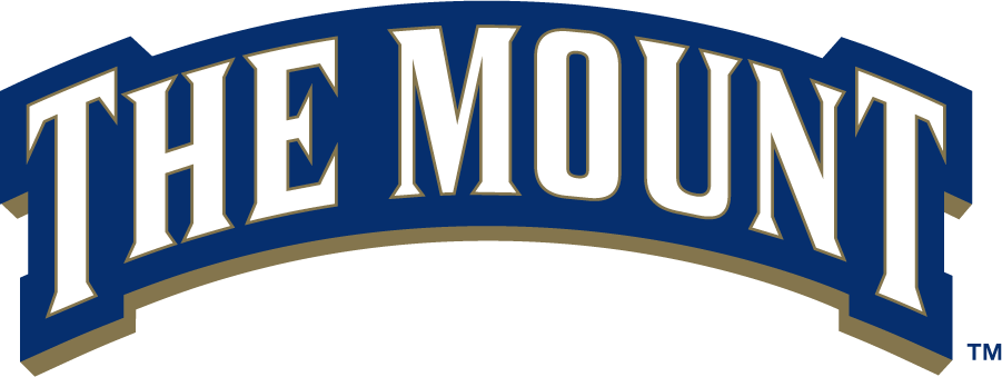 Mount St. Marys Mountaineers 2006-2016 Wordmark Logo v2 t shirts iron on transfers